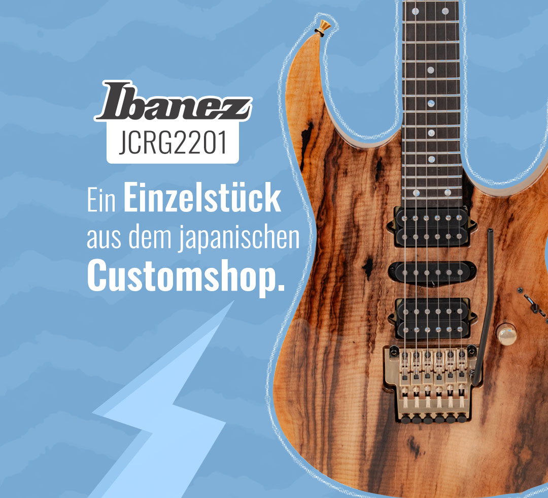 Ibanez JCRG2201 J. Custom E-Gitarre